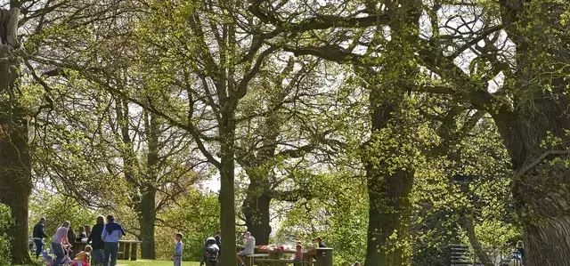 People relaxing in Richmond Park